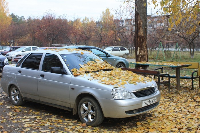Осенняя машина